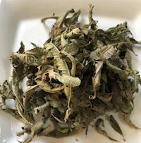 a white plate with dried leaves on it