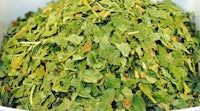 a pile of green leaves in a bowl