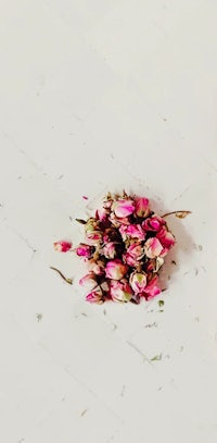 a pile of pink roses on a white floor