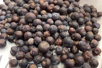 a pile of black currants on a table