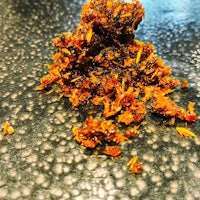 a pile of dried orange flowers on a table