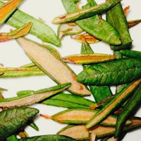 a pile of green leaves on a white plate