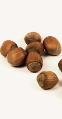 hazelnuts on white background - hazelnut stock videos & royalty-free footage