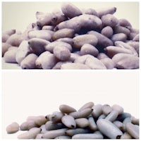 a pile of white beans on a white background