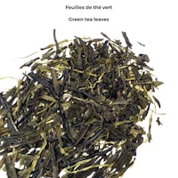 green tea leaves on a white background